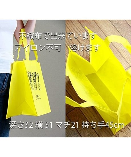 Pineapple  Eco Shopping Bag    HNLS02805-5110
