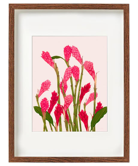 Aloha De Mele  ART WORK  GINGER BLOOM  HNLS03455-88430