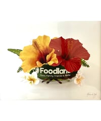 Aloha De Mele  ART WORK  FOODLAND  HNLS03425-14820