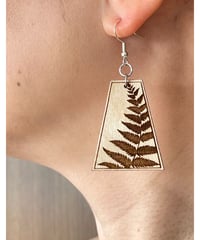 ナチュラルウッド  ピアス    フェーン・パラパライ    HNLS03247-5530
