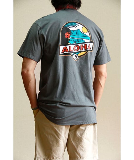 日本未発売 ハワイ直輸入 タウン＆カントリー Tシャツ  ALOHA　HNLS02767-49220