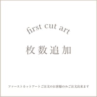 【baby hair art 枚数追加】