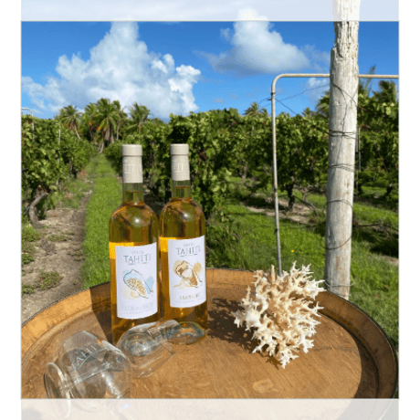 クール便発送★TAHITI直輸入　VIN DE TAHITI (ヴァン・ド・タヒチ）【ご注意】この商品は20歳以上の方のみご購入いただけます。