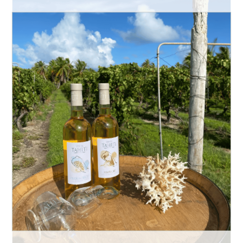 日本未入荷タヒチ産　白ワイン クール便発送☆TAHITI直輸入 VIN DE TAHITI (ヴァン・ド・タヒチ）【ご
