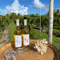 TAHITI直輸入　VIN DE TAHITI (ヴァン・ド・タヒチ）【ご注意】この商品は20歳以上の方のみご購入いただけます。★クール便配送希望の方はクール便付き商品をご覧ください★