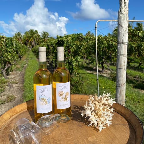 ITEM | タヒチアンショップ「パティティファタヒチ」