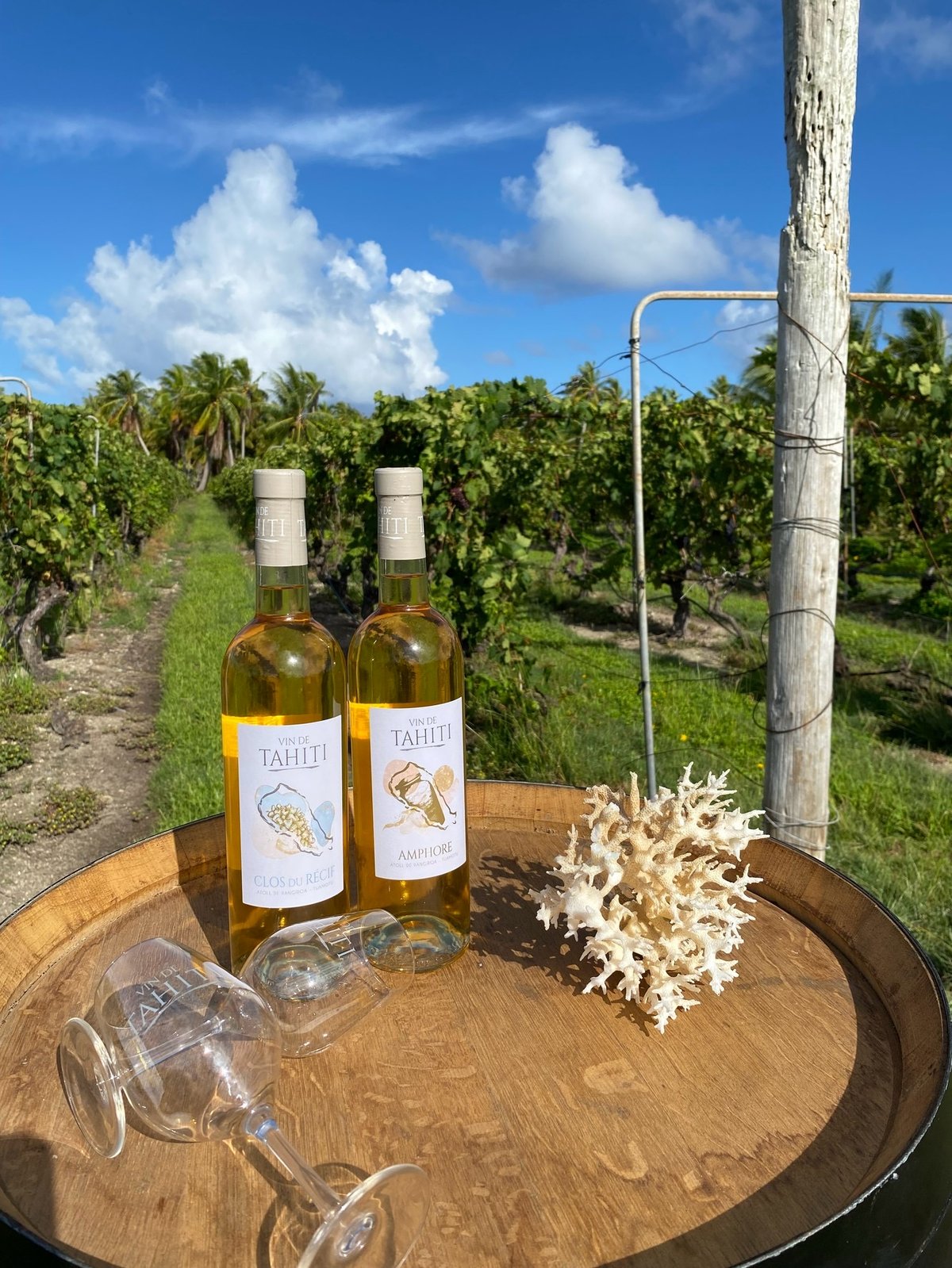 日本未入荷タヒチ産　白ワイン TAHITI直輸入 VIN DE TAHITI (ヴァン・ド・タヒチ）【ご注意】この商品