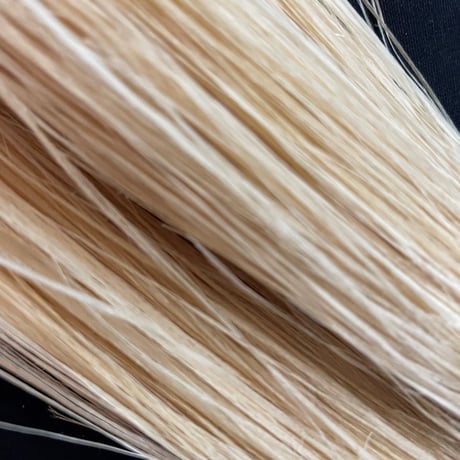 タッスル【サイズ約15.5㎝】