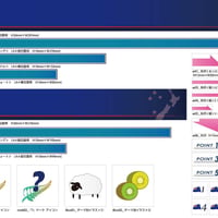ニュージーランド・汎用（テンプレート）