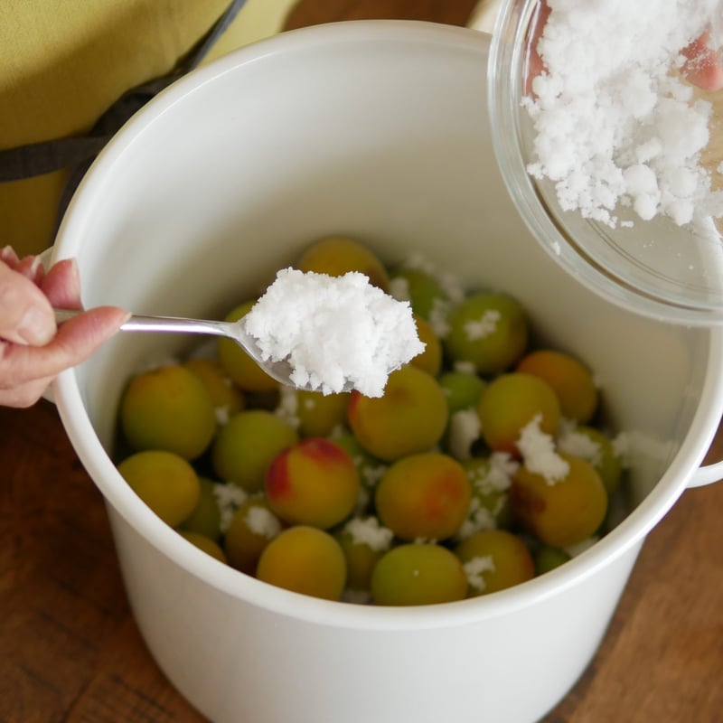 野田琺瑯 ラウンドストッカー（取っ手あり）ホワイト | 発酵食大学