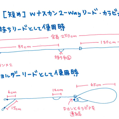 【短め】Wナスカン2-wayリード Mサイズ カラビナ付（リフレクター）ブルーグリーン