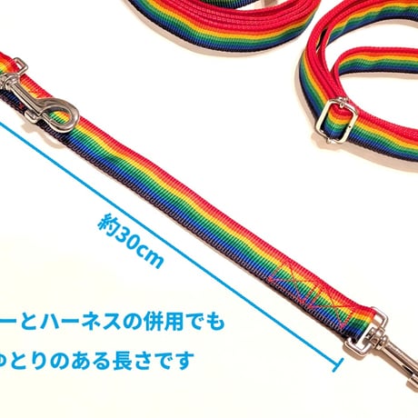 【新色追加】【三嶋モデル】Wナスカンリード Lサイズ 5ｍ