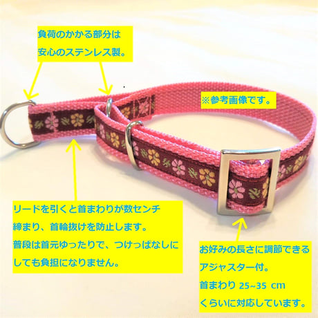 【即日発送】リミテッドチョークカラー Mサイズ