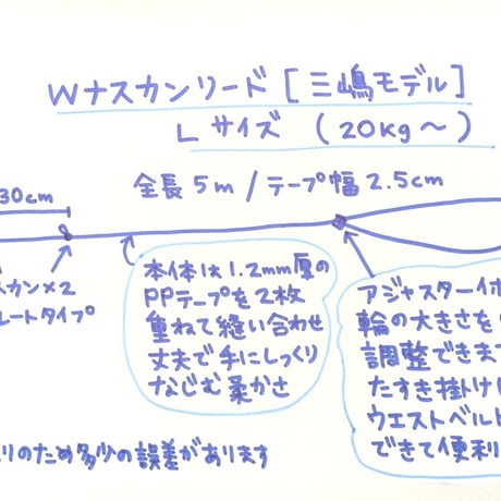 【新色追加】【三嶋モデル】Wナスカンリード Lサイズ 5ｍ