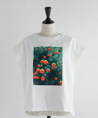 けしきTシャツ / MARIGOLD