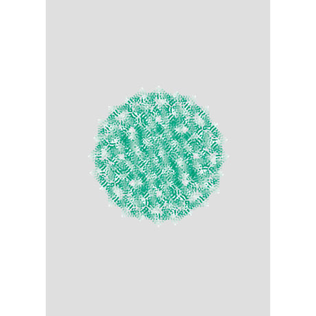 M A R U M E N（ZINE）