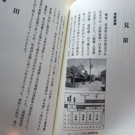 八木富美夫  『静岡県の遊廓跡を歩く』