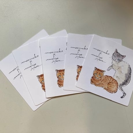 保護ねこカフェ もりねこ