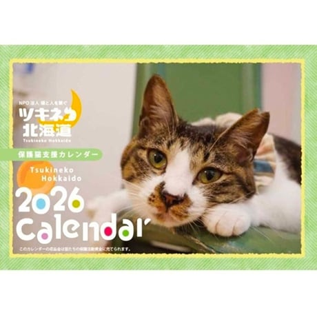 保護ねこカフェ もりねこ