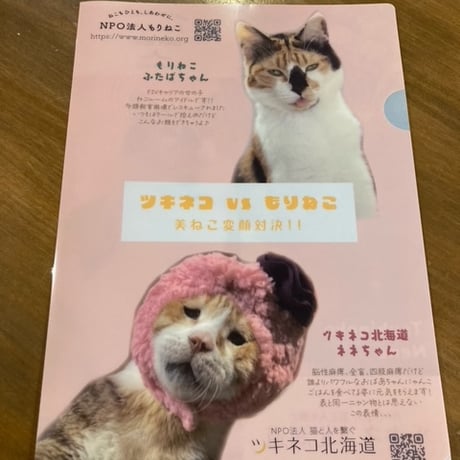 もりねこ10周年記念！　ツキネコ×もりねこ　美ねこ変顔対決クリアファイル