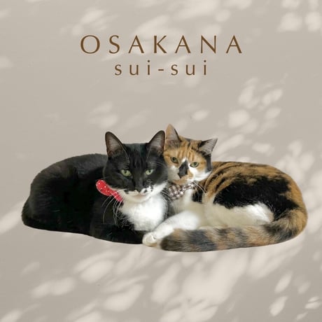 CATEGORY ねこ用品 | 保護ねこカフェ もりねこ