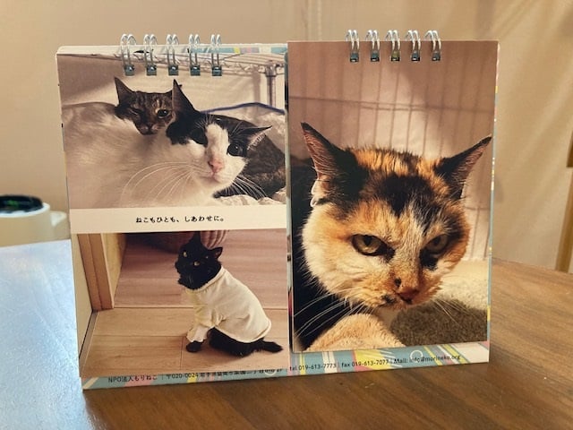 ネコ出品 楽天市場】JXK Studio JXK196C 猫フィギュア 猫好き ペット 動物好き