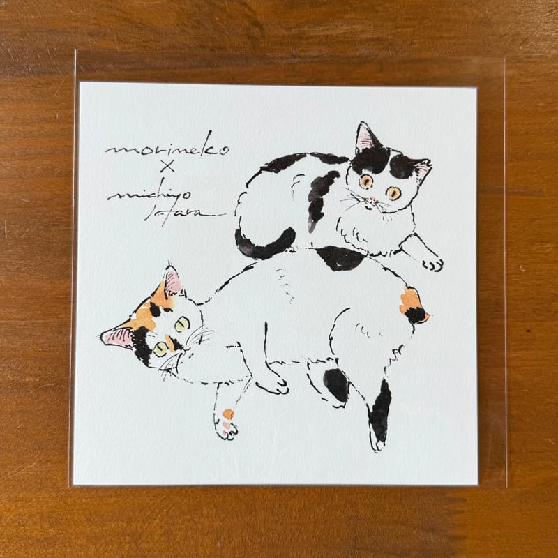 ハラミチヨさんが描く🐾スクウェアポストカード | NPO法人 もりねこ