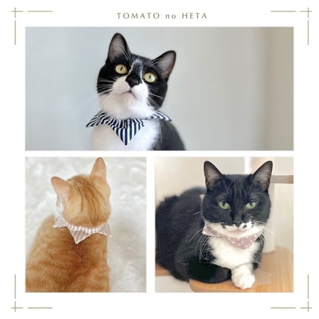 CATEGORY ねこ用品 | 保護ねこカフェ もりねこ