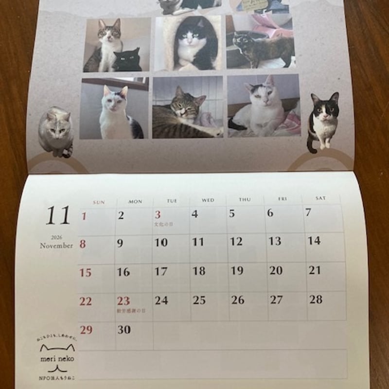 2026年もりねこカレンダー 壁掛けタイプ | 保護ねこカフェ もりねこ