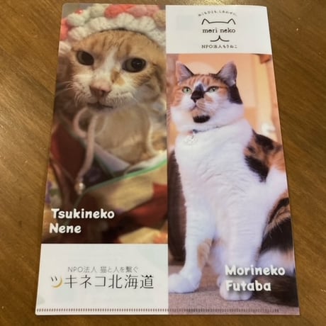 もりねこ10周年記念！　ツキネコ×もりねこ　美ねこ変顔対決クリアファイル