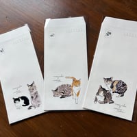 ハラミチヨさんが描く！モデルはもりねこのねこ　オリジナル封筒（A4三つ折りサイズ）