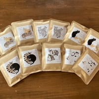 【5月28日以降の発送となります】ハラミチヨさんが描くもりねこのねこたちラベル（お楽しみ！）