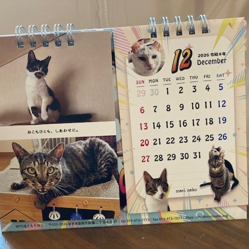 MeoW！出たぞ！2026年もりねこカレンダー 卓上タイプ | 保護ねこカフェ