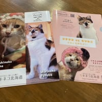もりねこ10周年記念！　ツキネコ×もりねこ　美ねこ変顔対決クリアファイル