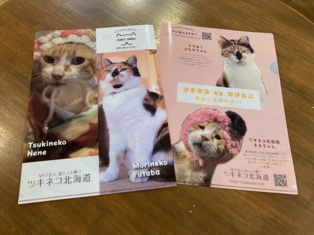 もりねこ もりねこ10周年記念！ ツキネコ×もりねこ 美ねこ変顔対決クリア