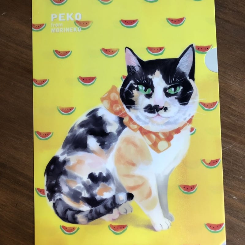クリアファイル 四季 | NPO法人 もりねこ