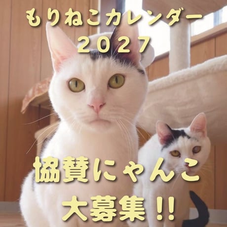 嬉しさ2倍！2027年カレンダー協賛にゃんこ　【限定50】
