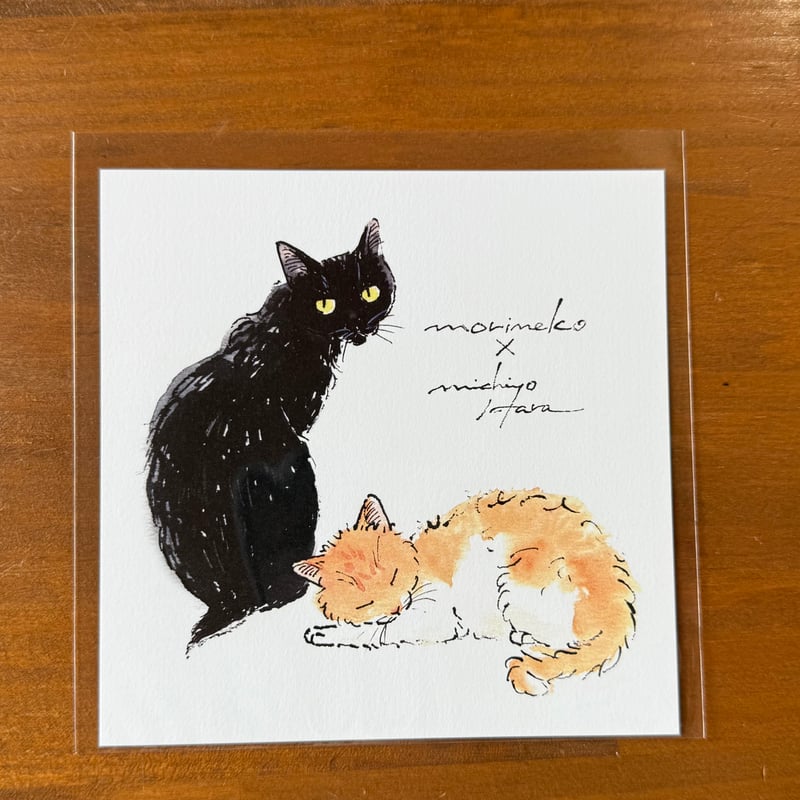 ハラミチヨさんが描く🐾スクウェアポストカード | NPO法人 もりねこ