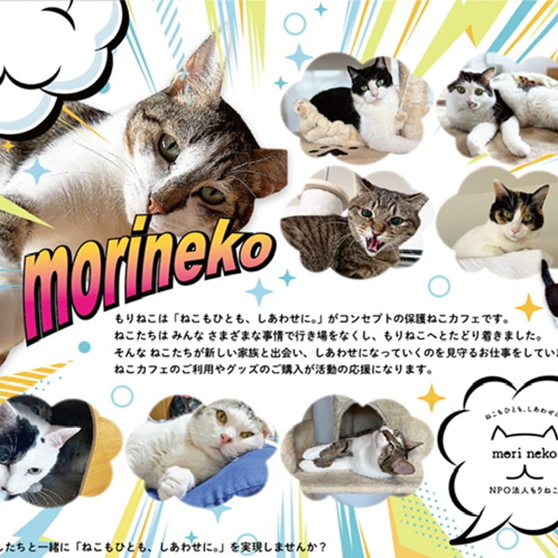 MeoW！出たぞ！2026年もりねこカレンダー 卓上タイプ | 保護ねこカフェ