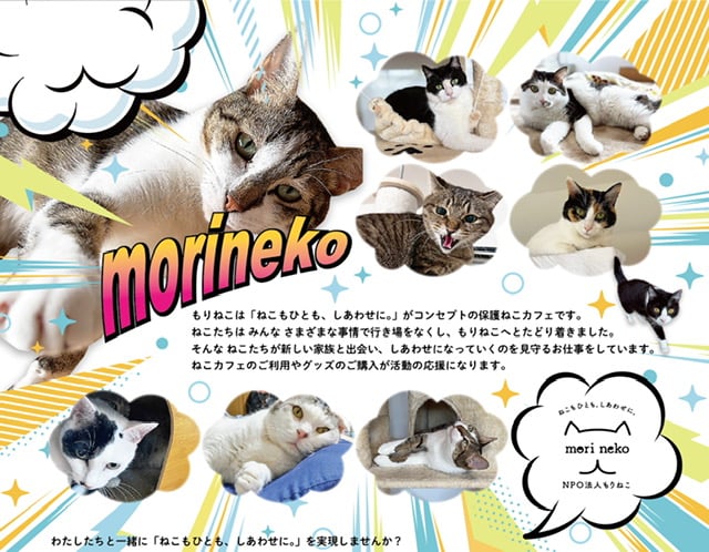 MeoW！出たぞ！2026年もりねこカレンダー 卓上タイプ | 保護ねこカフェ