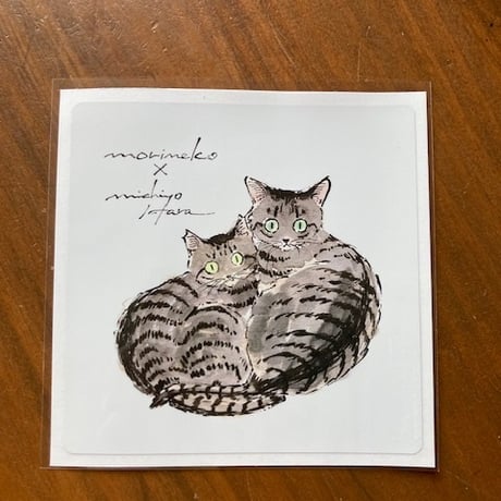 もりねこ 保護ねこカフェもりねこ on X: 