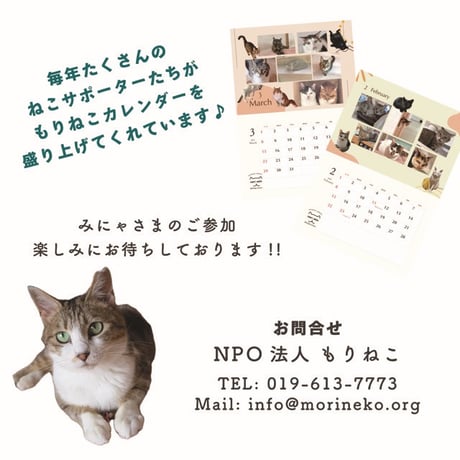 嬉しさ2倍！2027年カレンダー協賛にゃんこ　【限定50】