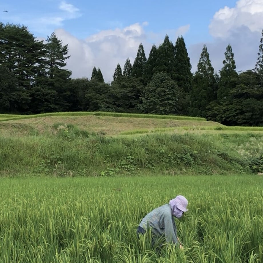 615ff06d47a5345d54ca11f1