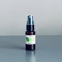REPELLAIRE MIST for HOUSE KEEPING