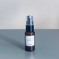 ICY LEMON MINT_COOL MIST