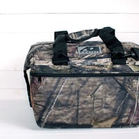 AO Coolers 24pack