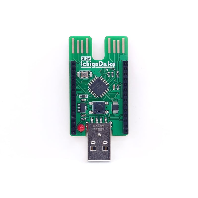 GIGA IchigoDake S Basic 組み立てキット | Programming C GIGA IchigoDake S Basic 組み立てキット | Programming C