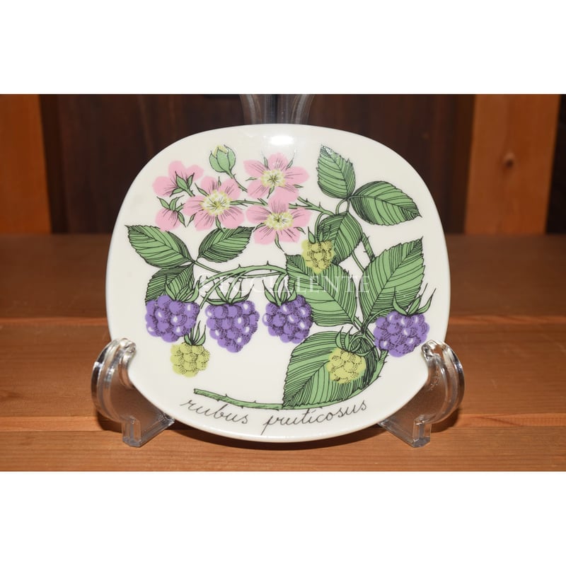 ARABIA ボタニカ エストリ トムラ プレートx2