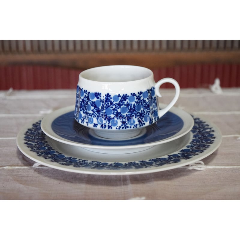 北欧ヴィンテージ】【アラビア】【ライヤ・ウオシッキネン】ドリア