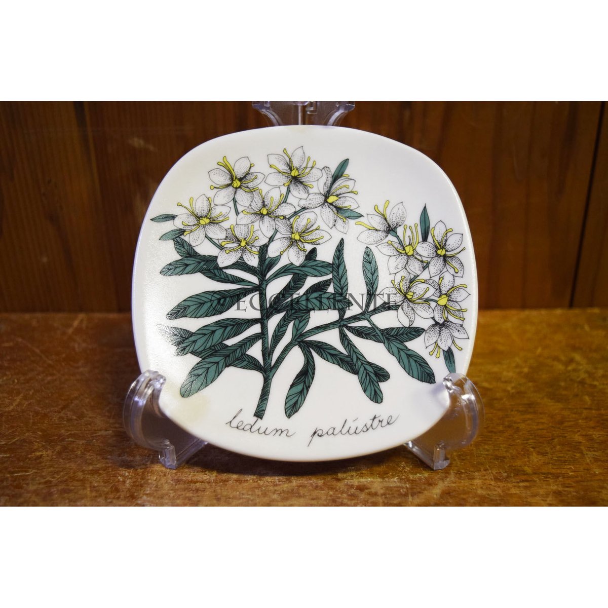 ARABIA エステリ・トムラ ボタニカ 